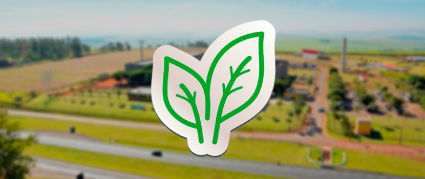 Corporate sustainability: 10 practices that make a difference