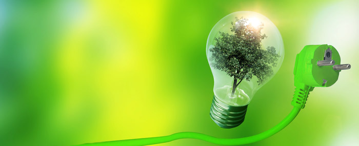 Seedling sprouting from soil representing renewable bioenergy sources derived from biomass and sustainable energy generation.