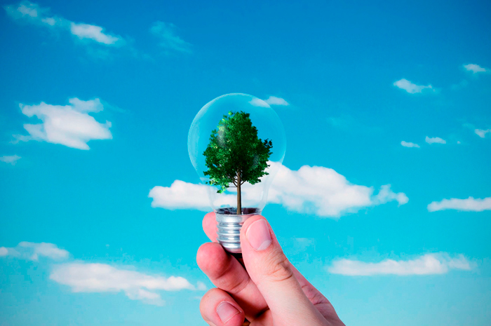 Renewable energy concept representing energy efficiency and sustainability in industrial operations.